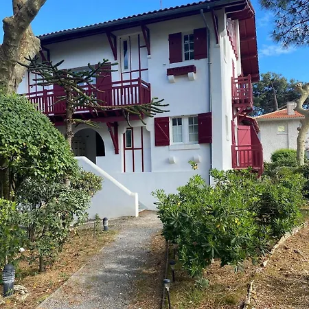 Duplex Moulleau Proche Avec En Mezzanine Διαμέρισμα Αρασόν